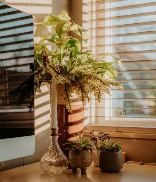 Tips for Creating a Relaxing Home Office Environment